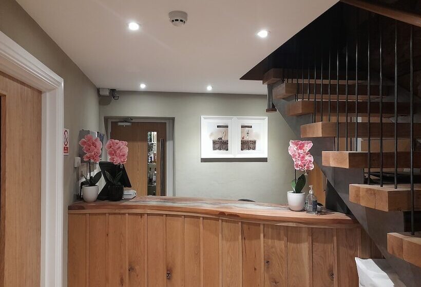 ホテル The Olive Well