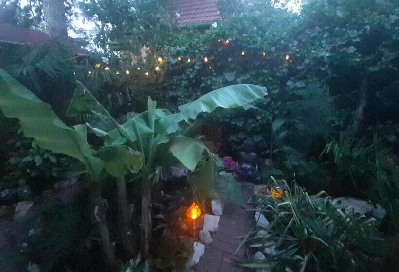 House W Little Tropical Garden