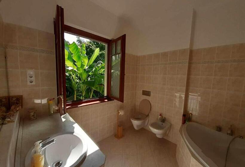 House W Little Tropical Garden