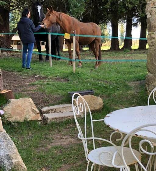 Le Cheval D’en Fer