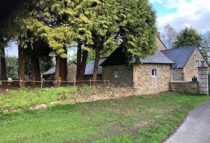 Le Cheval D’en Fer