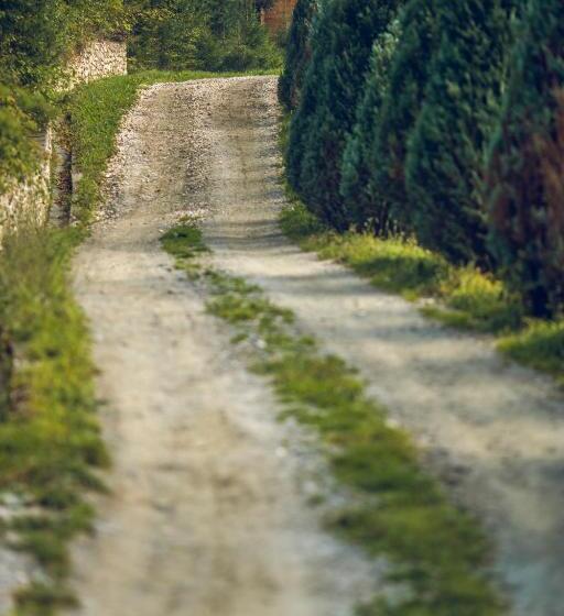 Курорт Sătucul Lui Andrei