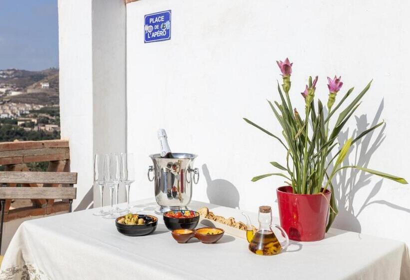 Santacruz Buganvilla41