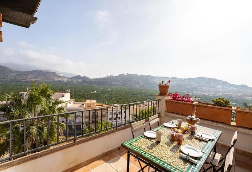 Santacruz Buganvilla41