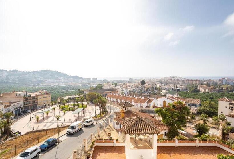 Santacruz Buganvilla41