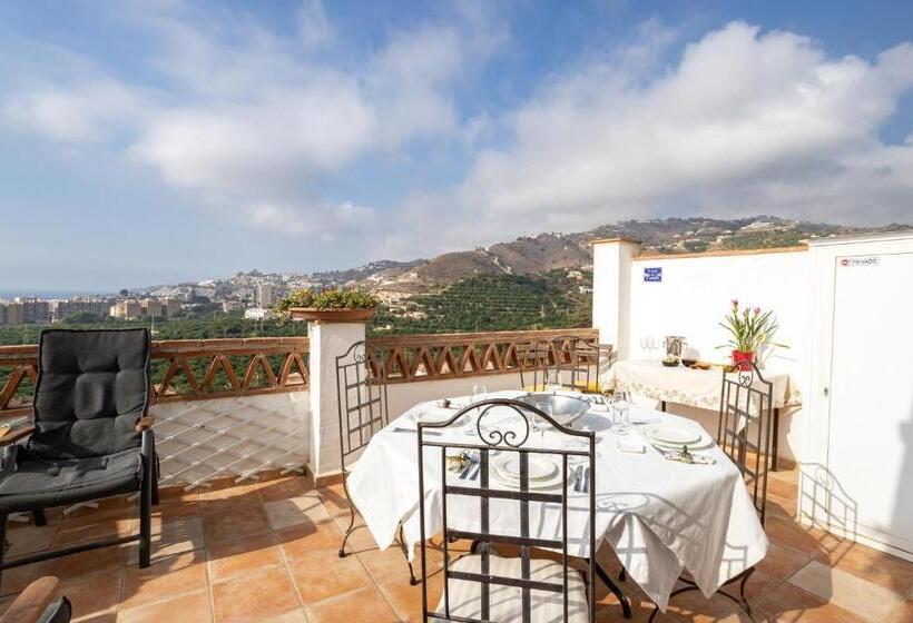 Santacruz Buganvilla41