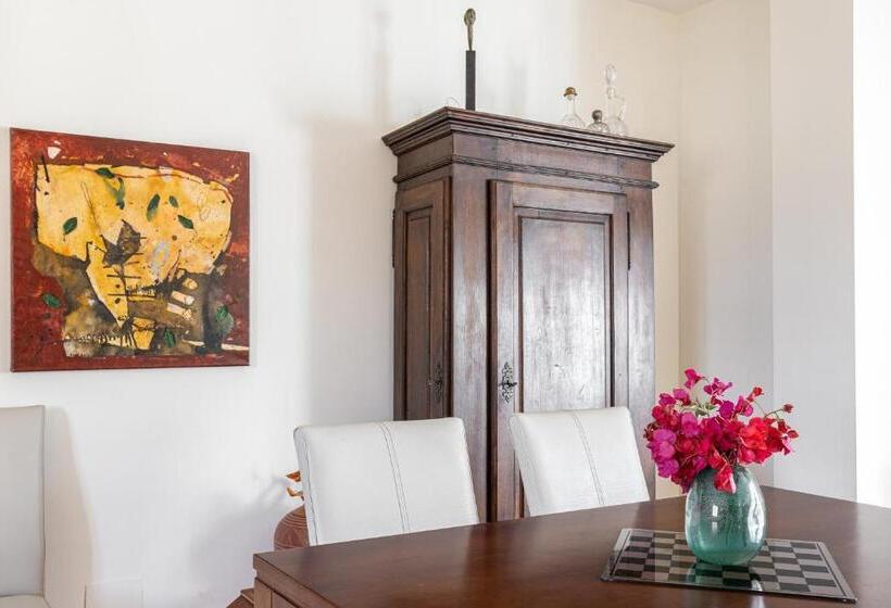 Santacruz Buganvilla41