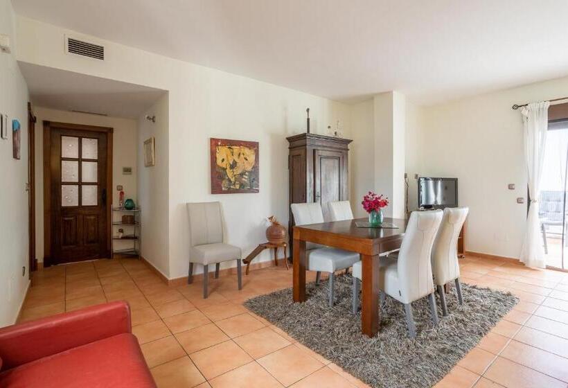 Santacruz Buganvilla41