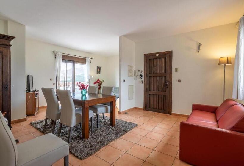 Santacruz Buganvilla41