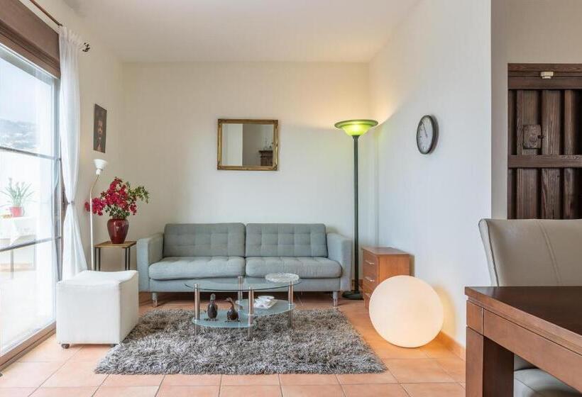 Santacruz Buganvilla41