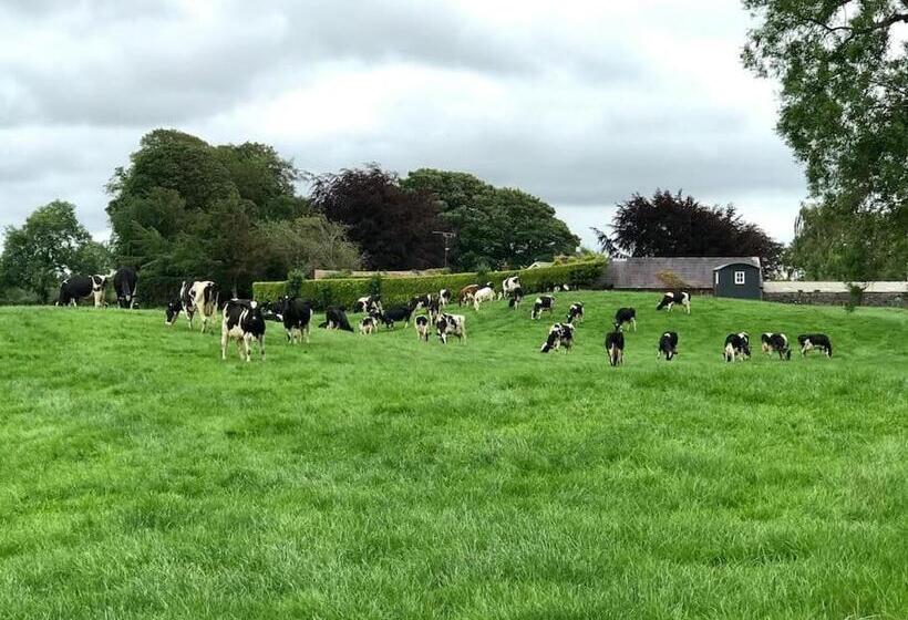 Sheelin Shepherds Hut 2 With Hot Tub