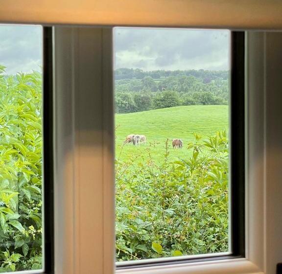 Sheelin Shepherds Hut 2 With Hot Tub