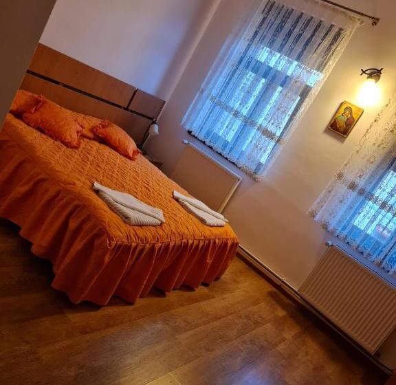 Apartament La Cetate