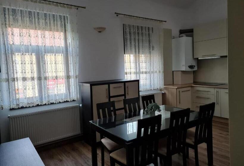 Apartament La Cetate