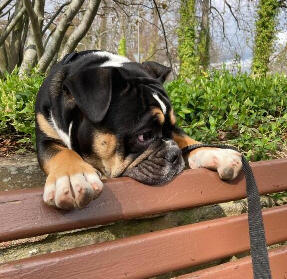 Balmridge House, Loch Ness, Bed & Breakfast