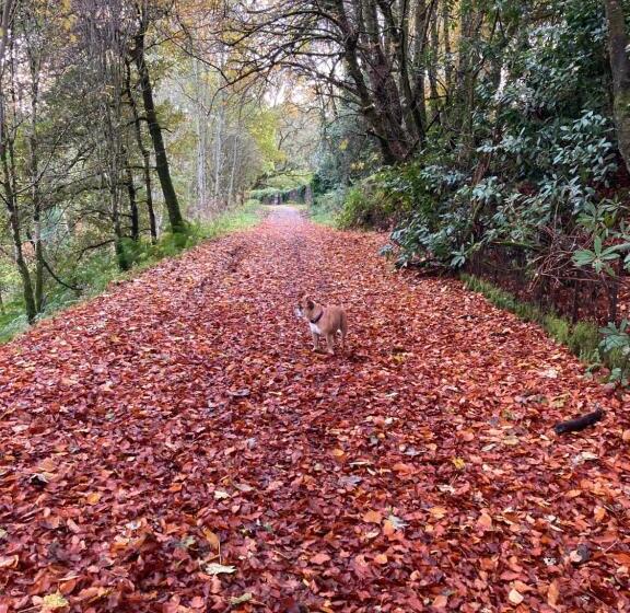 Balmridge House, Loch Ness, Bed & Breakfast