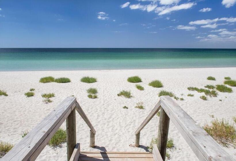 Beach & Trees, Beachfront Siesta Park