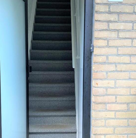 Dolfijn, Wijk De Brabander 92