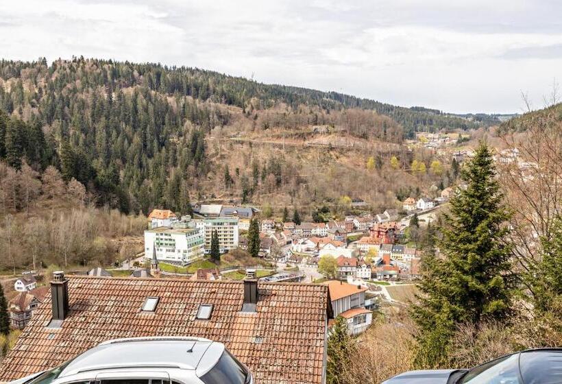 Ferienappartement Sonnenhof