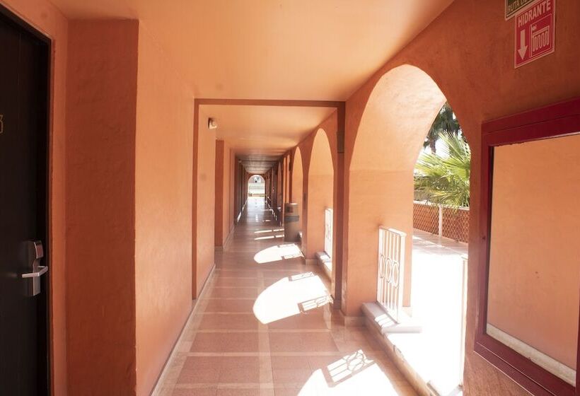 فندق Armida Express