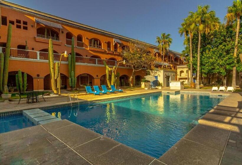 فندق Armida Express