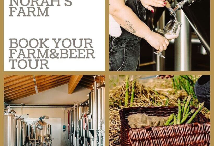 בית מלון כפרי Asolo Norah S Hill Agri Rooms