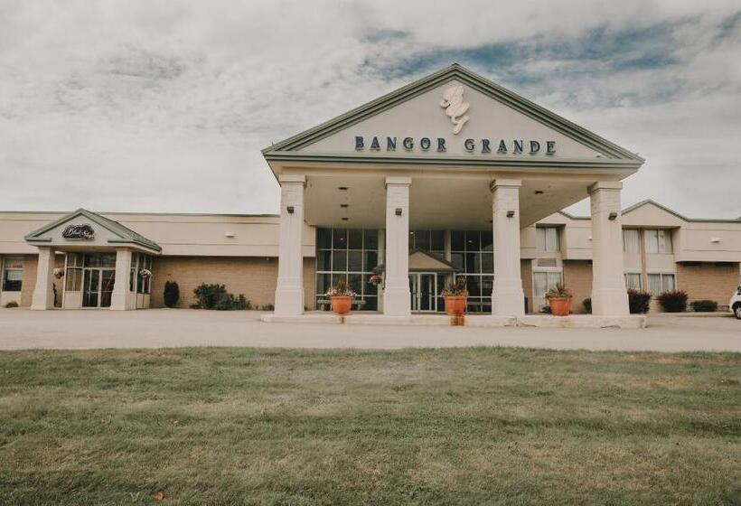 فندق Bangor Grande