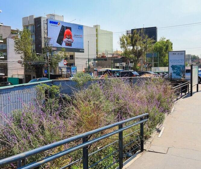 ホテル Colmena Monterrey