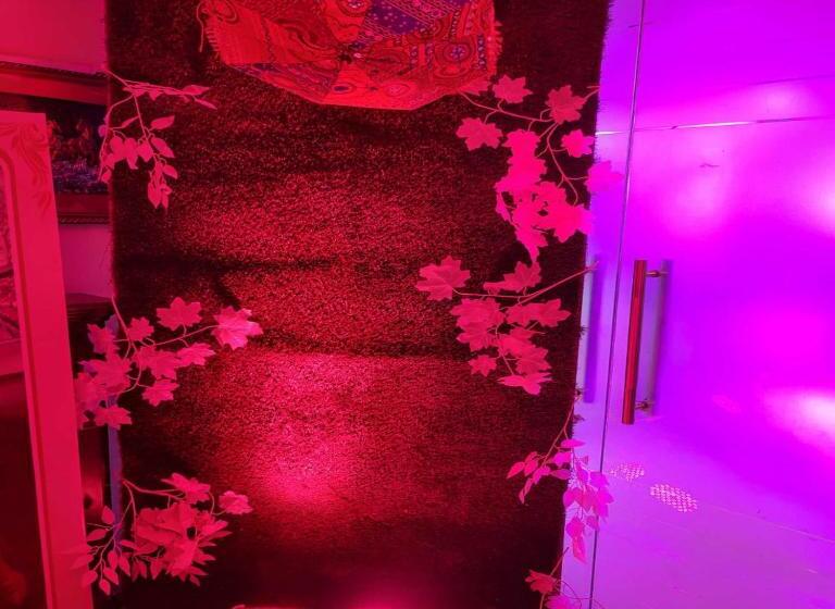 酒店 Comfort Inn Bl