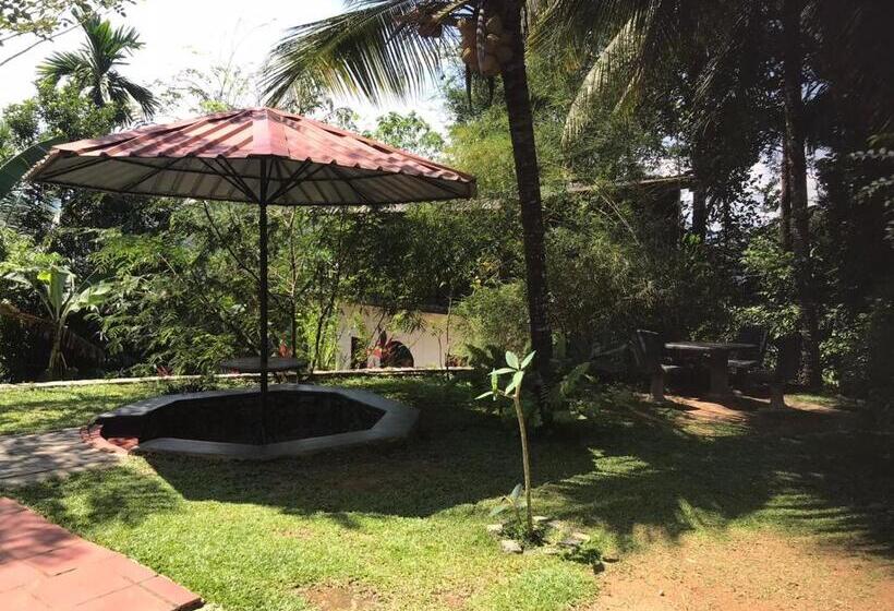 בית מלון כפרי Discovery Resort