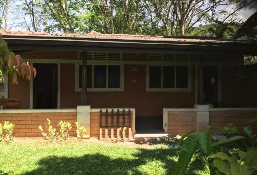 בית מלון כפרי Discovery Resort