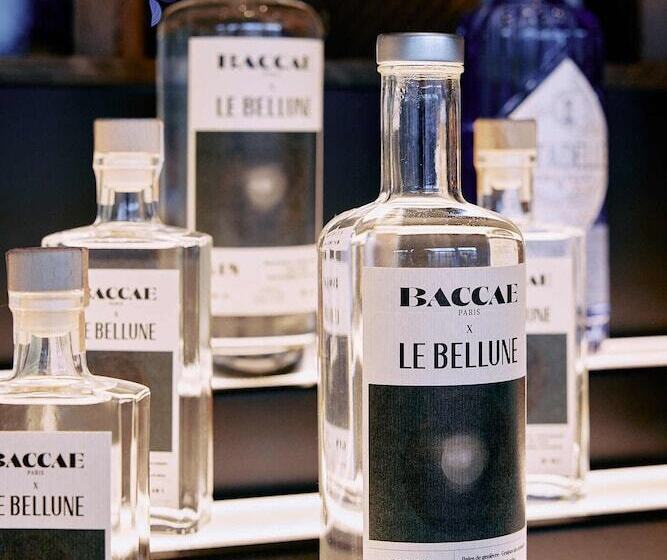 ホテル Le Bellune Paris