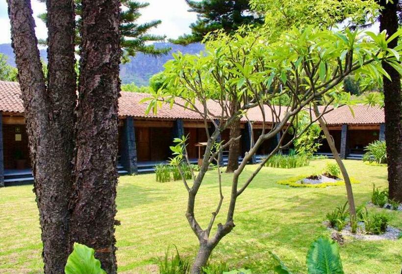 ホテル Quinta Tonantzin