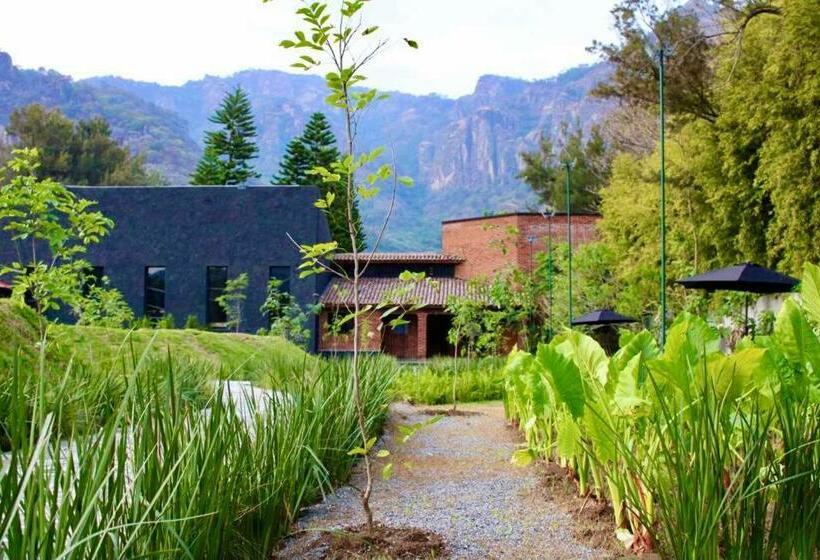 ホテル Quinta Tonantzin