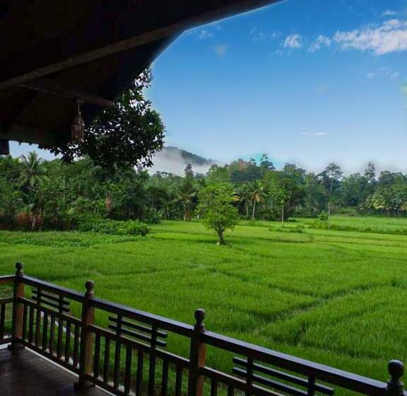 فندق Rainforest Nest