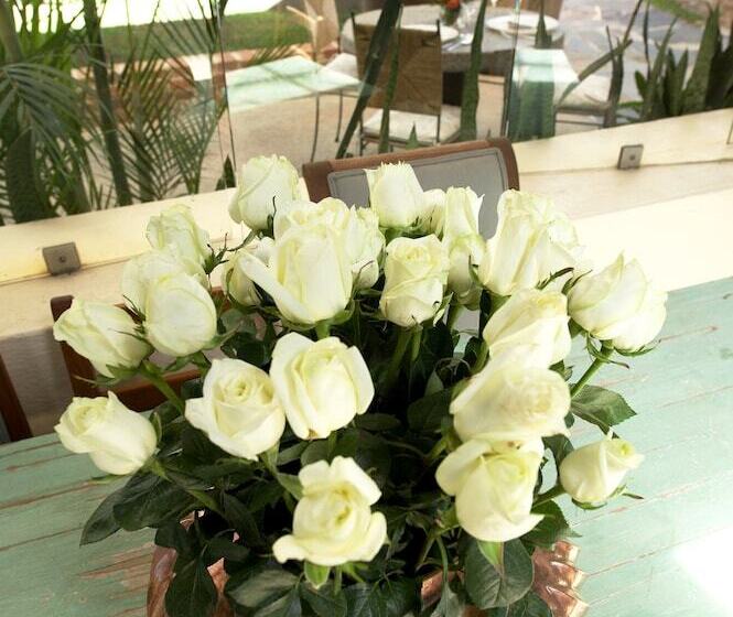 ホテル Casa Limon Malinalco