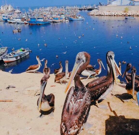 بنسيون Casa Talara