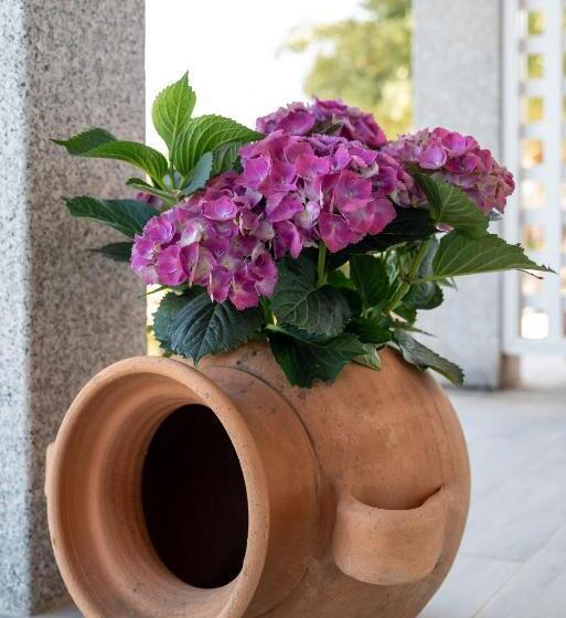 پانسیون Coro E Bentu Rooms & View