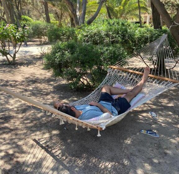 Пансион Villa Zinnibiri