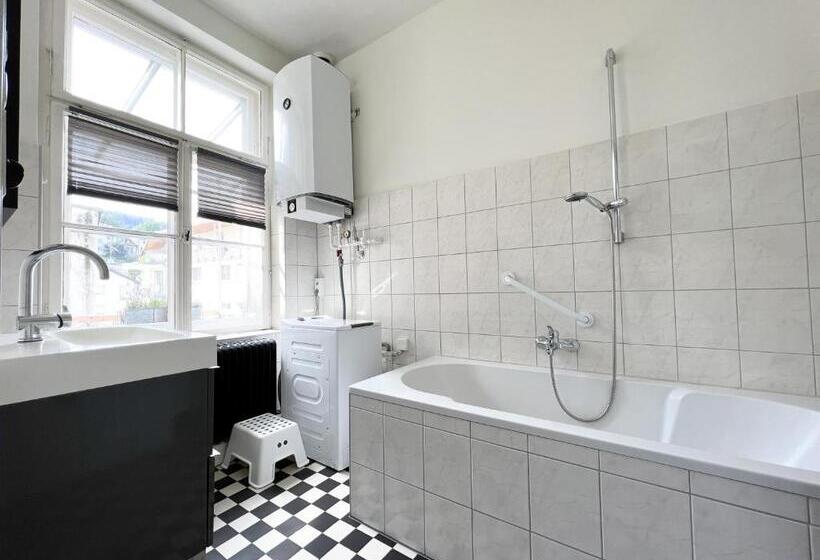 Stadtjuwel Mit Pfänderblick