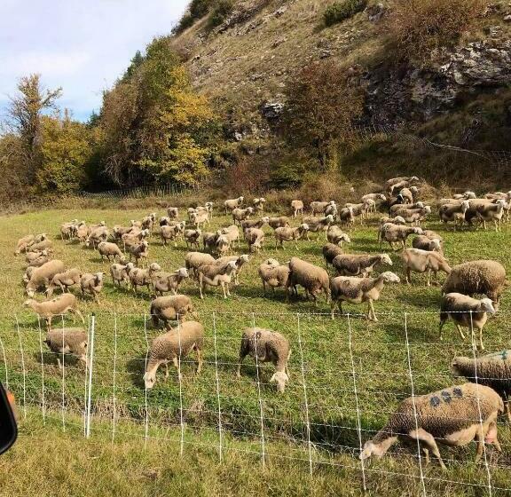 Studio Charmant Avec Vue Sur Les Pistes Le Devoluy 25 M²