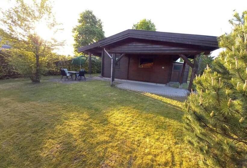 The House To Stay For Holidays