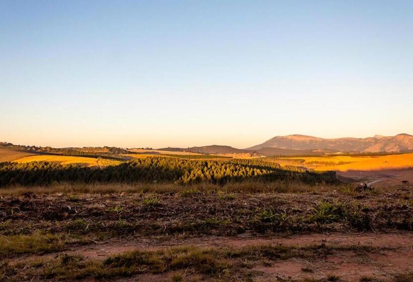 Wellstead Country Manor