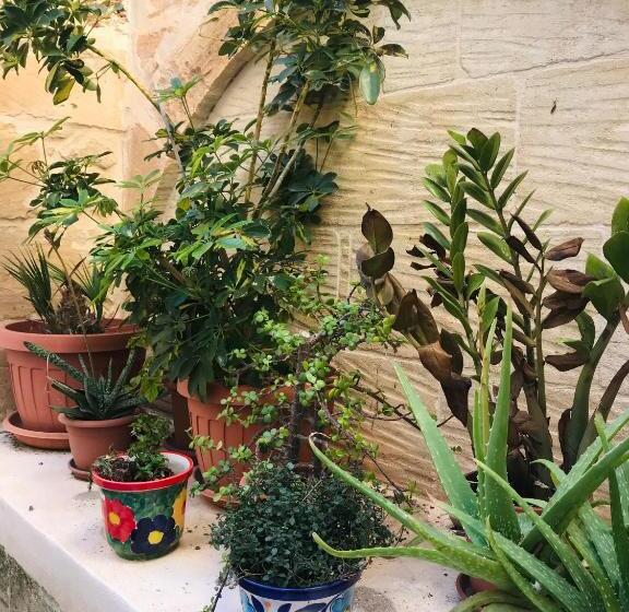 250 Yo Tal Bambinu Farmhouse