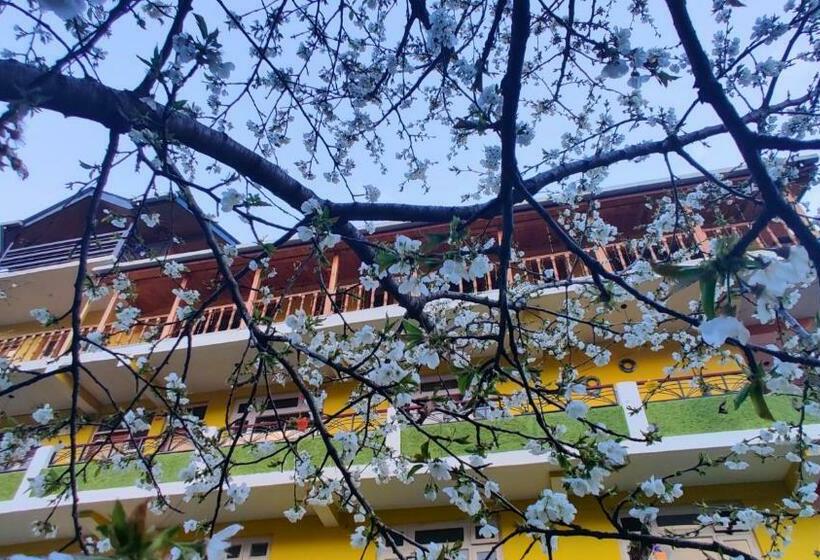 هاستل The Homstel Manali