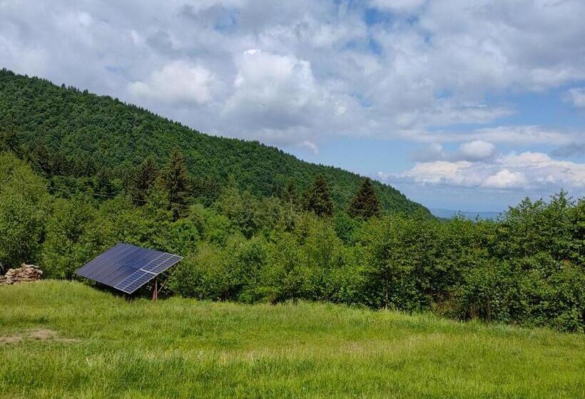 Casa Negru Vodă Breaza