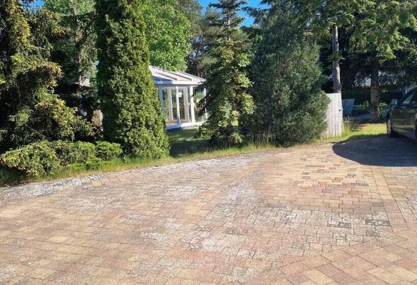 Einraum Apartment Seepferdchen