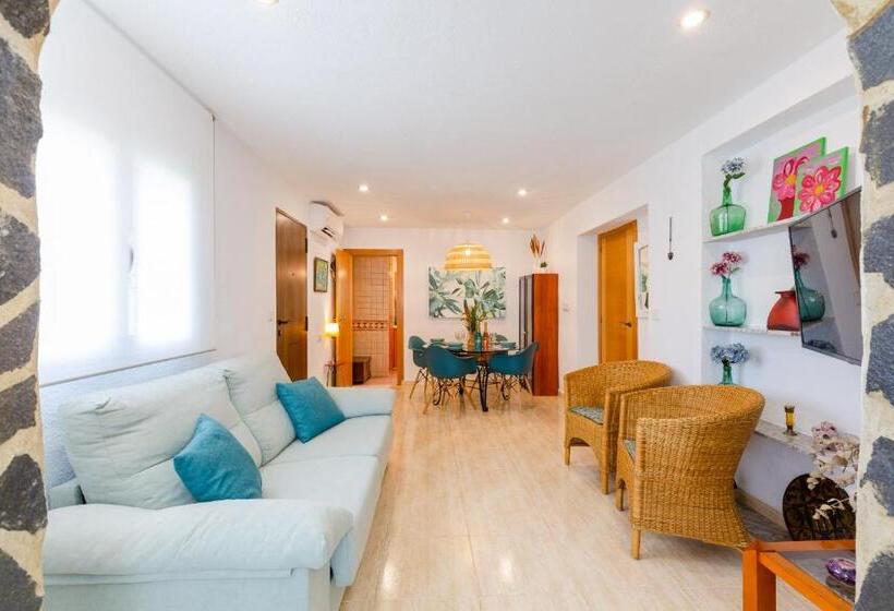 Fidalsa Coastal Soul