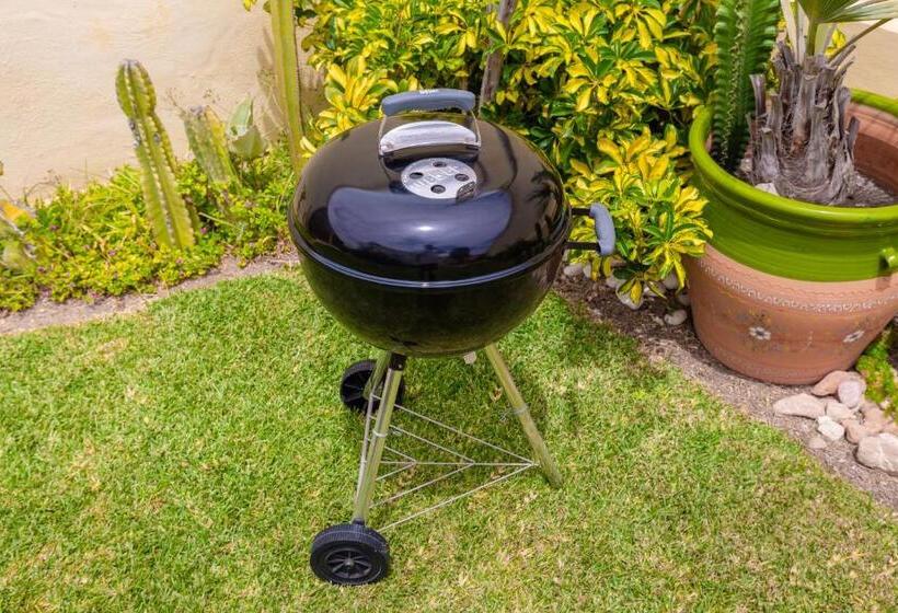 Fidalsa Coastal Soul