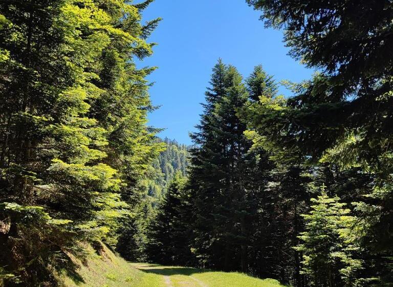 Grand Appartement En Rdc Vallée De Campan